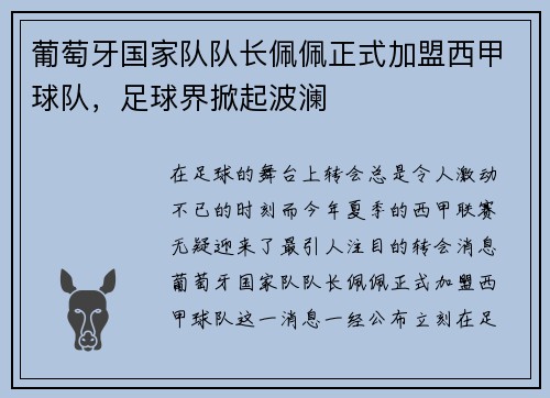 葡萄牙国家队队长佩佩正式加盟西甲球队，足球界掀起波澜